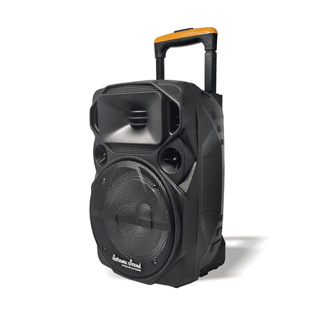 Cassa Portatile A Trolley 600 W Bluetooth Usb Rgb Con Microfono Wireless Van-m