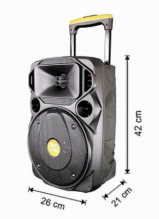 Cassa Portatile A Trolley 600 W Bluetooth Usb Rgb Con Microfono Wireless Van-m