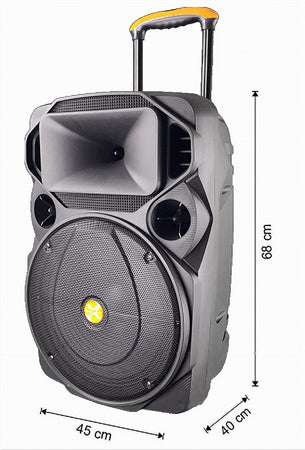 Cassa Audio Portatile Batteria Woofer 15" Usb Mp3 Microfono Extreme Sound Van-xl