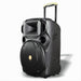 Cassa Audio Portatile Batteria Woofer 15 Usb Mp3 Microfono Extreme Sound Van-xl