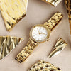 Trussardi T-Vision – Orologio Donna Dorato/Bianco (R2453125503)