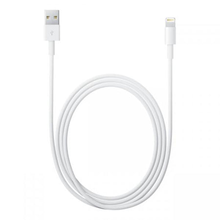 APPLE CAVO LIGHTNING TO USB CABLE (2 M)