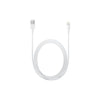 APPLE CAVO LIGHTNING TO USB CABLE (2 M)