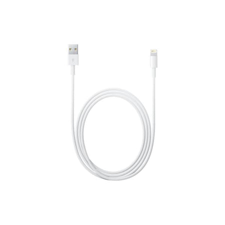 APPLE CAVO LIGHTNING TO USB CABLE (2 M)