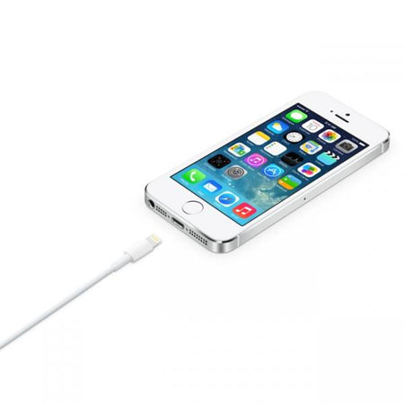 APPLE CAVO LIGHTNING TO USB CABLE (2 M)