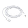 APPLE CAVO LIGHTNING TO USB CABLE (2 M)