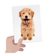 Headu - Flashcards Tactile Montessori Osserva Tocca E Senti (1/4 Anni)