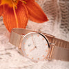 B&G Preppy – Orologio Donna Oro Rosa con Cinturino Mesh (R3853252538)