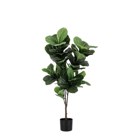 Pianta artificiale "Ficus Lyrata" con vaso in plastica nero, con foglie in gomma