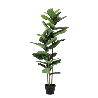 Pianta artificiale Ficus Lyrata con vaso in plastica nero, con foglie in gomma