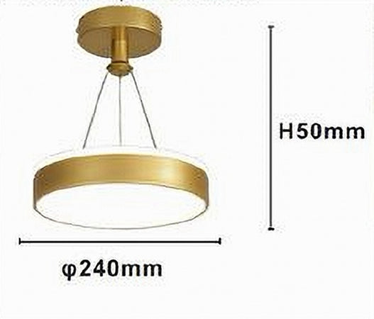 Lampadario A Sospensione Led 24 Watt Cerchio Tondo Moderno Oro Doppia Luce 50520