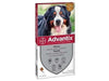 BAYER ADVANTIX CANI 40 a 60 KG. REPELLENTE CANI ANTIPARASSITARI
