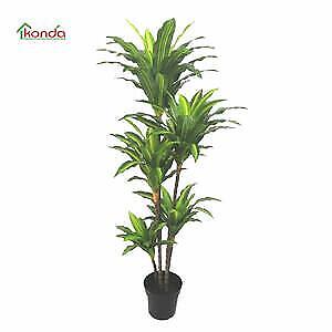 PIANTA Ornamentale Artificiale completa di base DRACENA cm. 170 pz. 2