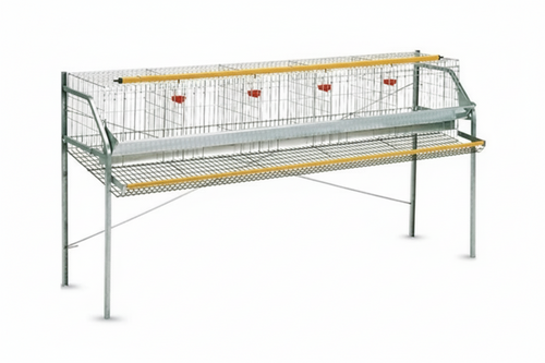 GABBIA GALLINE OVAIOLE 1 PIANO CM. 207x61x100H