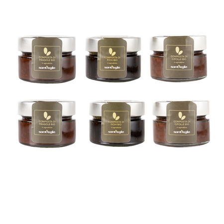 Composta di frutta e verdura biologica ed Aceto Balsamico IGP