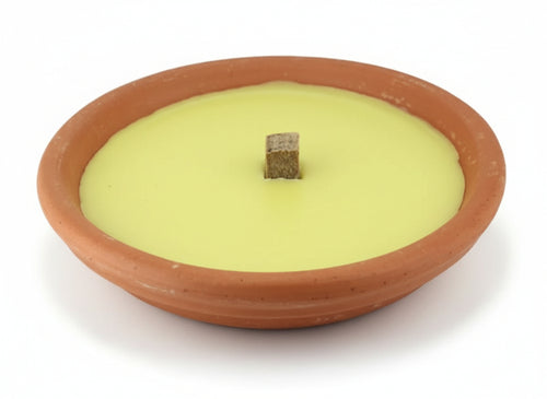 CERI CITRONELLA IN COCCIO MAXI D.17 CM PEZZI 25