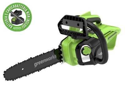 MOTOSEGHE GREENWORKS BATTERIA GD48TCS25