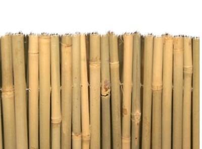 ARELLA MASTER BAMBOO CANNICCIO ARELLE CANNE RECINZIONE OMBRA BAMBU MISURE VARIE