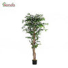 PIANTA Ornamentale Artificiale completa di base FICUS cm. 180 pz. 2