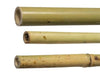 25 PZ CANNE CANNA DI BAMBOO PALI PALETTI TUTORE H.210 CM SPESSORE 24/26