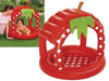 PISCINE GONFIABILI BAMBINI VERY BERRY BESTWAY 2387 - CM.91x91x91