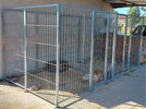 2 Box per Cani da Esterno con Zincatura a Caldo Ciascuno da 200x200x Altezza 180 Cm Prodotti per animali domestici/Cani/Cucce gabbiette e recinzioni/Recinti da esterno Ogomondo - Martina Franca, Commerciovirtuoso.it