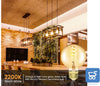2 pz Lampadina G80 a Vite Edison 4W E27 Filamento LED Vintage Bianco caldo 2200K Vetro ambrato 380LM a Spirale Retrò