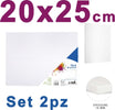 2 Tela Per Dipingere Canvas Rettangolare 20 X 25 Cm Artico Disegno Arte Pittura Casa e cucina/Hobby creativi/Disegno/Tele/Tele intelaiate Trade Shop italia - Napoli, Commerciovirtuoso.it