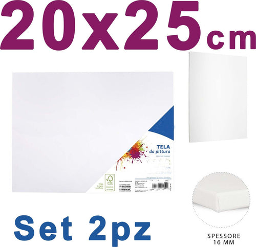 2 Tela Per Dipingere Canvas Rettangolare 20 X 25 Cm Artico Disegno Arte Pittura Casa e cucina/Hobby creativi/Disegno/Tele/Tele intelaiate Trade Shop italia - Napoli, Commerciovirtuoso.it