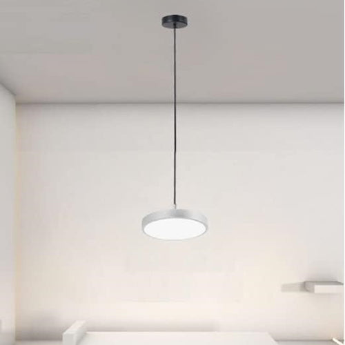 Lampadario A Sospensione Led 40w Argento Cerchio Tondo Moderno Minimal Luce 6500k 32941