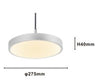 Lampadario A Sospensione Led 40w Argento Cerchio Tondo Moderno Minimal Luce 4000k 32934