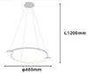 Lampadario A Sospensione Led 20w Cerchio Con Telecomando Design Moderno Bianco 71071