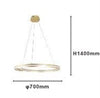 Lampadario Led Moderno A Semicerchio 100w A Sospensione Luce 6500k 70cm Oro 33443