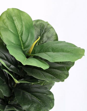 Pianta artificiale "Ficus Lyrata" con vaso in plastica nero, con foglie in gomma