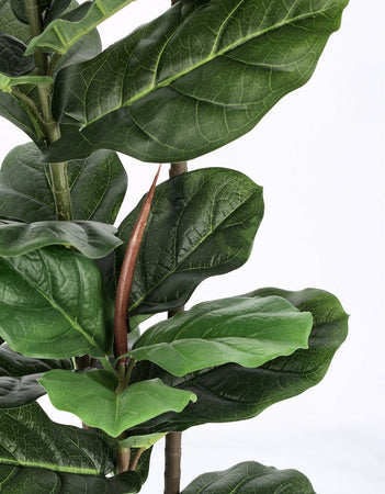 Pianta artificiale "Ficus Lyrata" con vaso in plastica nero, con foglie in gomma