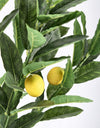 Pianta artificiale Limone con 224 foglie, vaso in plastica, 115h cm