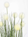 Pianta artificiale Eriophorum con fiori bianchi, vaso in plastica nero