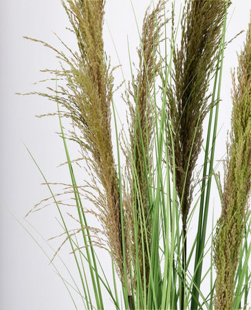 Pianta artificiale "Carine Pampas" verde e marrone, fiore in ciuffi con vaso in plastica