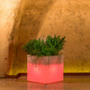 Vaso luminoso Cube per decorazione esterno e giardino Made in Italy