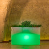 Vaso luminoso FlowerPot Bright con led decorazione Made in Italy per esterno