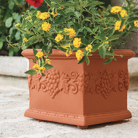 Vaso Quadro Uva quadrato in resina con decorazione per esterno "Made in Italy"