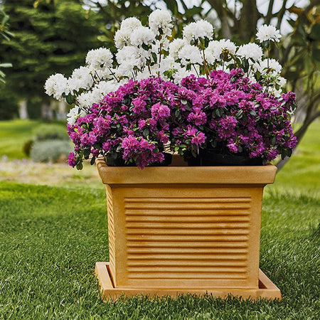 Vaso Quadro Millerighe quadrato in resina decorazione per esterno "Made in Italy"