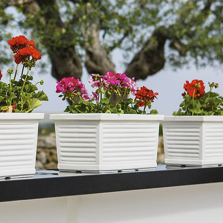 Balconiera Millerighe rettangolare in resina decorazione per fiori e piante Made in Italy