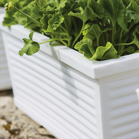 Balconiera Millerighe rettangolare in resina decorazione per fiori e piante Made in Italy