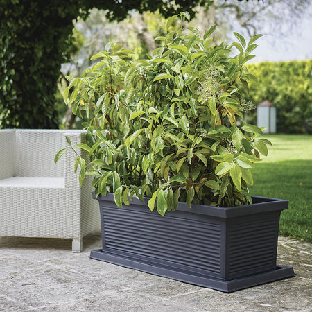 Fioriera Millerighe rettangolare in resina decorazione per fiori e piante Made in Italy
