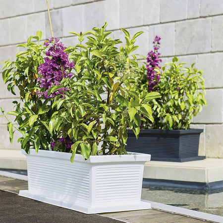 Fioriera Millerighe rettangolare in resina decorazione per fiori e piante Made in Italy