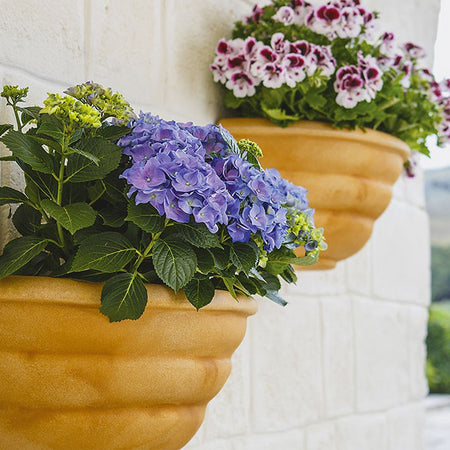 Vaso Gerla a parete Thea in resina per piante e fiori "Made in Italy" da esterno