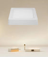 Plafoniera Led Da Soffitto 12w Luce 3000k-6500k Parete Quadrato Con Interruttore 00175