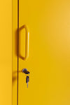 Armadio Cambridge in acciaio monocolore
