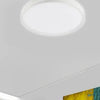 Plafoniera Da Soffitto 60 Watt Cerchio Per Interno Luce Fredda Fst-50a26844 49cm